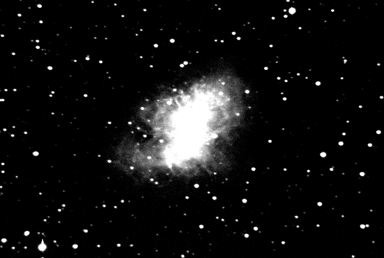 The Crab Nebula