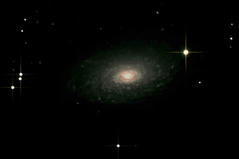 Sunflower Galaxy